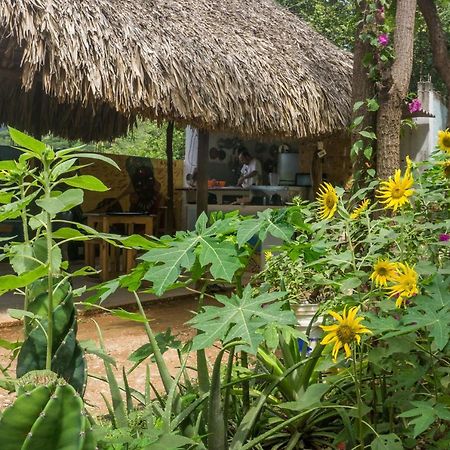 Hostel Hipilandia Taganga Ngoại thất bức ảnh