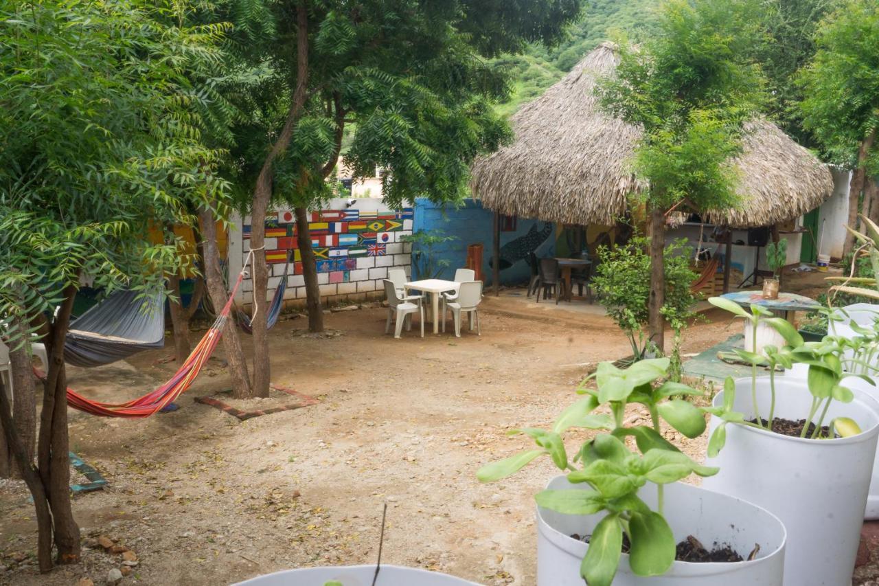 Hostel Hipilandia Taganga Ngoại thất bức ảnh